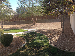 Backyard Landscaping Design After