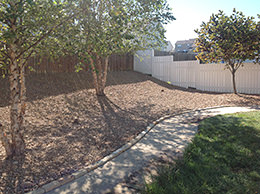 After St. Louis Backyard Landscaping