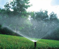 Rainbird Irrigation System Installation