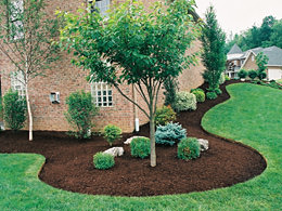 Lawn Maintenance & Lawn Care in St. Louis & St. Charles