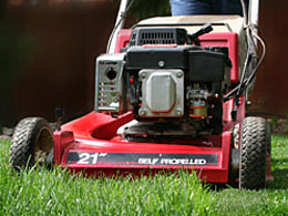 Lawn Mowing & Edging | Lawn Maintenance Services
