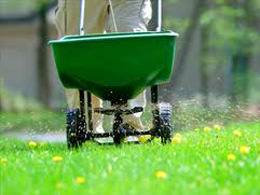 Over-Seeding | Lawn Maintenance Services