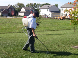 Weed and Pest Control | Lawn Maintenance Services