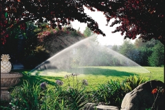 Irrigation Pictures
