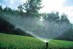 Rainbird-1800