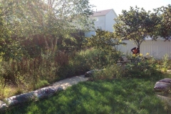 Landscape Rehab Before-After