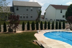 Pool Area Landscaping