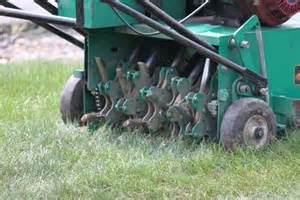 Lawn Aeration and Overseeding in St. Louis