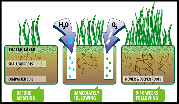 Schedule Fall Lawn Aeration and Overseeding in St. Louis