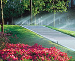 Sprinkler Systems