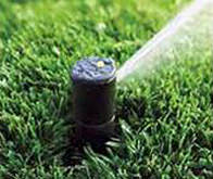 Rainbird Irrigation Systems in St. Louis