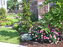 Professional Landscaper in St. Louis