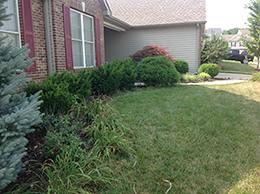 St. Louis Landscaper | Before Landscaping Design