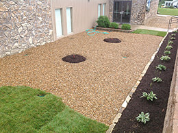 Front Yard Landscaping Design - After