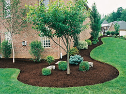 Landscaping & Sprinkler Systems Financing