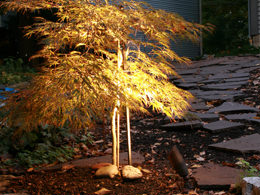 Landscape Lighting Service in St. Louis, MO